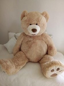 Giant Teddy Bear